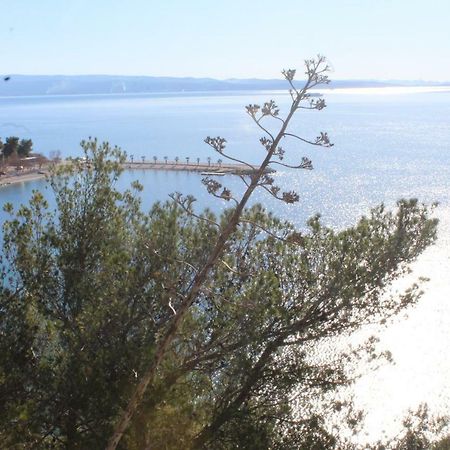 Paradise Apartment With Big Sunny Terrace In The Old Town, Few Meters From The Sea & Riva Promenade Split Exterior foto